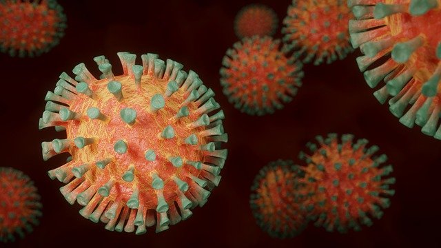 Psiho-socijalni problemi starijih i nemoćnih osoba tijekom pandemije Korona virusa